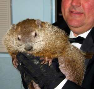 groundhog day 2011