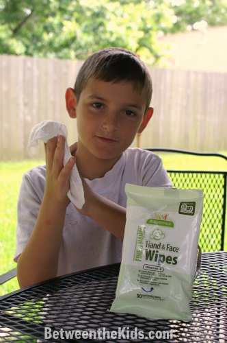 Babyganics Hand and Face Wipes